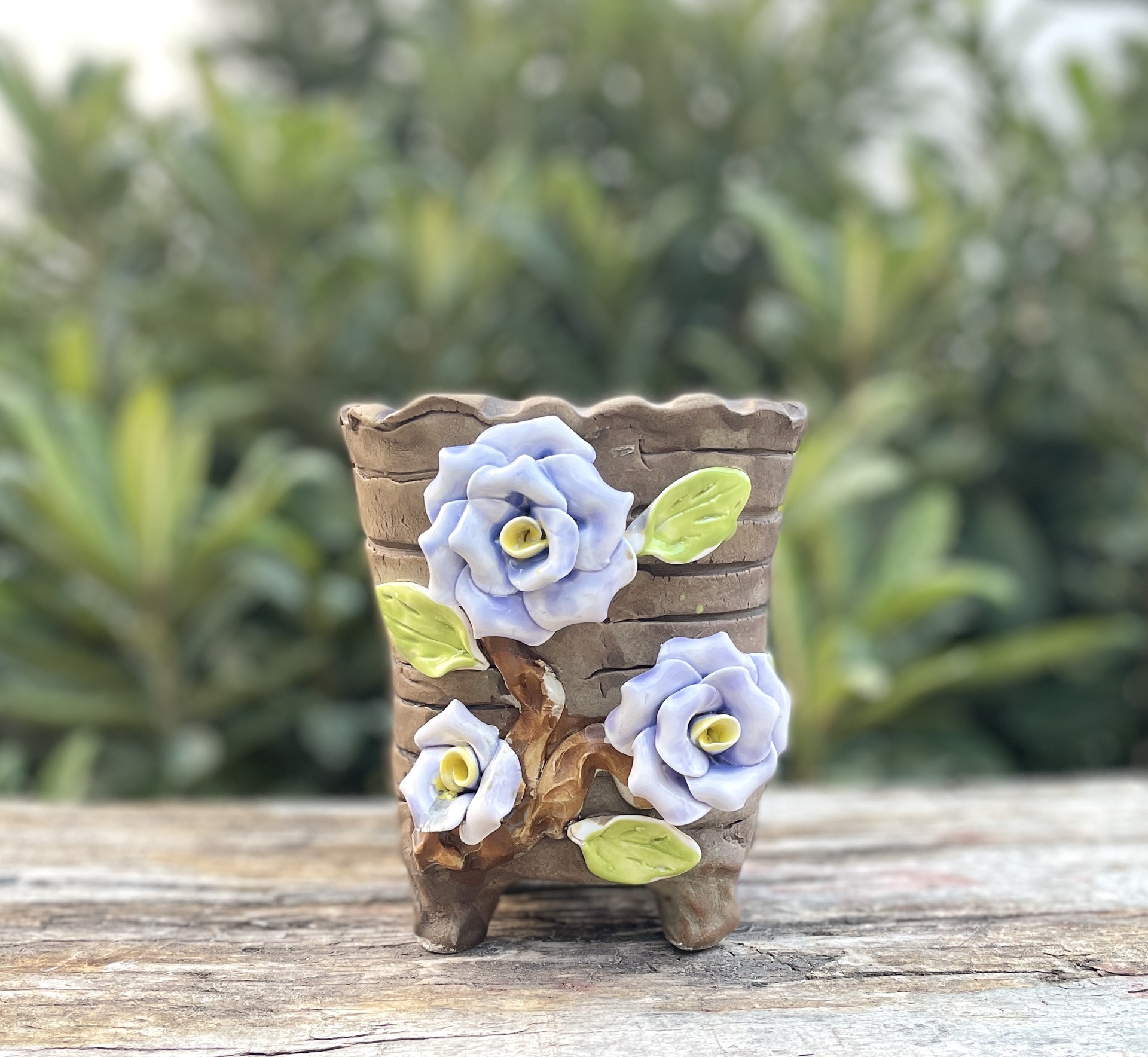 576 (4) new arrivals succulents potted plants flower build.jpg